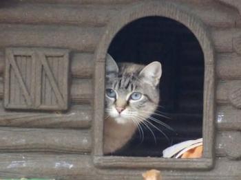 Siena Bild von Siena