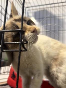 Libby Bild von Libby