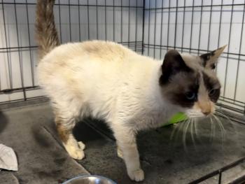 Libby Bild von Libby