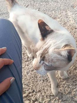 Libby Bild von Libby