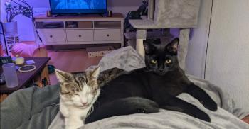 Brezel Bild von Brezel