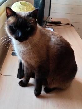 Ojos Grises Bild von Ojos Grises