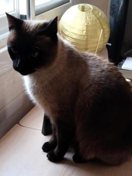 Ojos Grises Bild von Ojos Grises