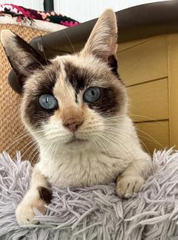 Libby Bild von Libby