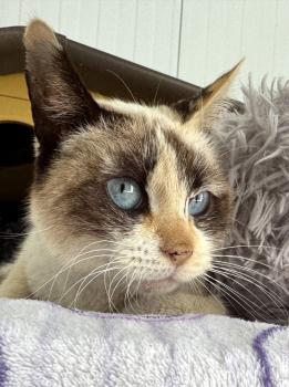 Libby Bild von Libby