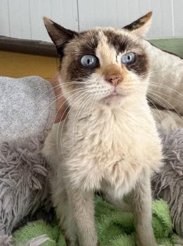 Libby Bild von Libby