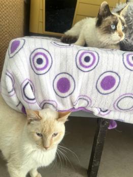 Libby Bild von Libby