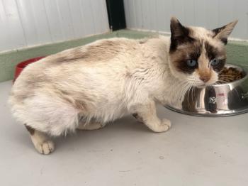 Libby Bild von Libby