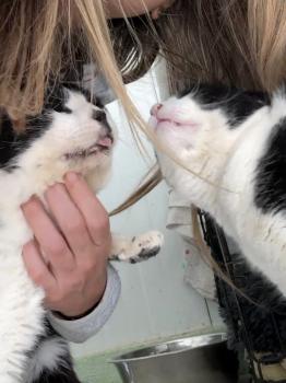 Connan Bild von Connan