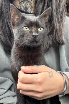 Esteban Bild von Esteban