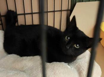 Esteban Bild von Esteban