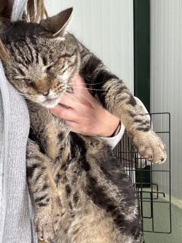 Damian Bild von Damian