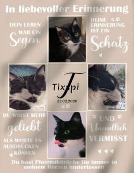 Txispi Bild von Txispi