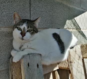 Bild von Margarita