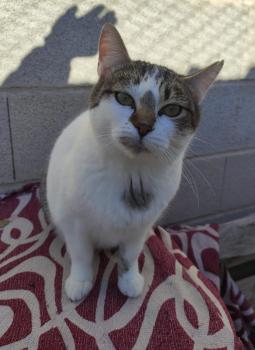 Bild von Margarita