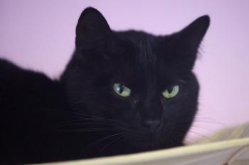 Bojador Bild von Bojador