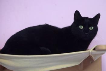 Bojador Bild von Bojador