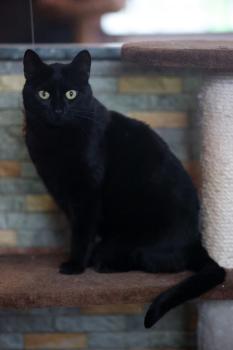 Bojador Bild von Bojador