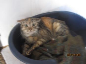 Ohne Bild von Letitia