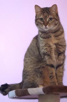 Bild von Minnie