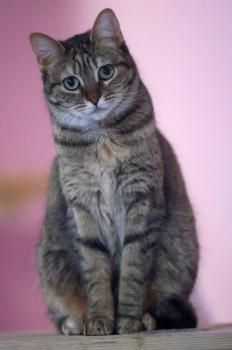 Bild von Minnie