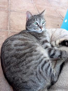 Bild von Fernanda