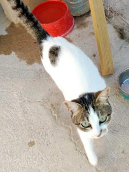 Bild von Agata