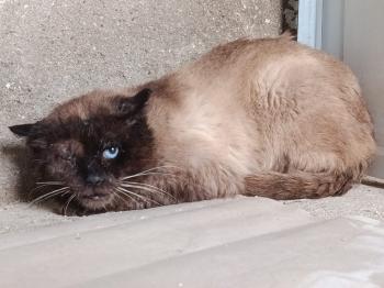 Pipim Bild von Pipim