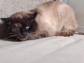 Pipim Bild von Pipim