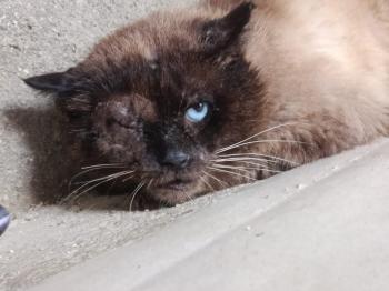 Pipim Bild von Pipim