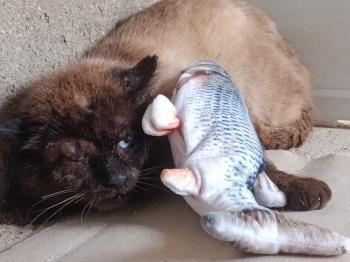 Pipim Bild von Pipim