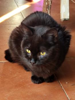 Bild von Lilian