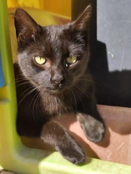Bild von Oliver