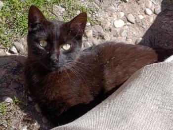 Bild von Oliver