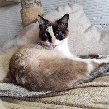 Bild von Thelma