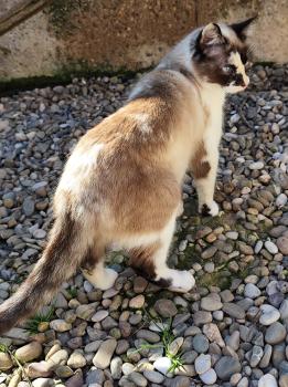 Bild von Thelma