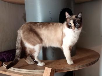 Bild von Thelma