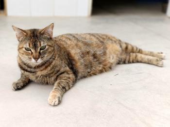 Bild von Astrid