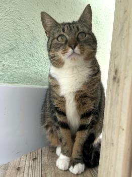 Bild von Moly