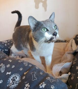 Bild von Coco