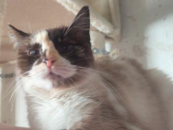 Bild von Thelma