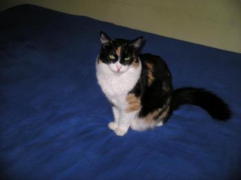 Bild von Melly