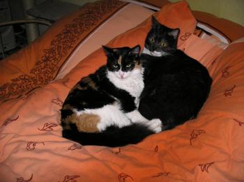 Bild von Melly