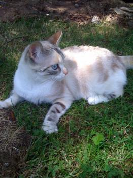 Suki Bild von Suki