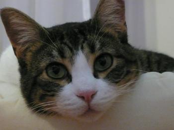 Emi Bild von Emi