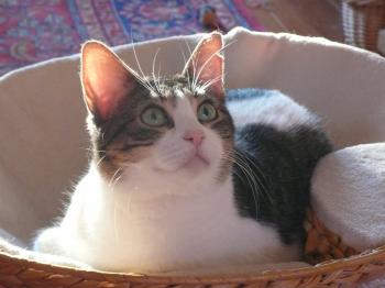 Emi Bild von Emi