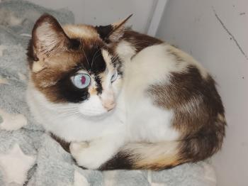 Mimi Bild von Mimi