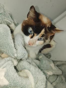 Mimi Bild von Mimi