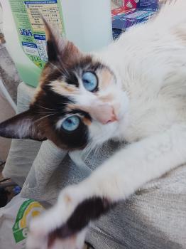 Mimi Bild von Mimi