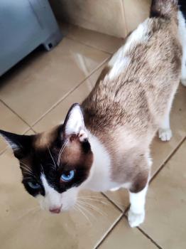 Shanti Bild von Shanti
